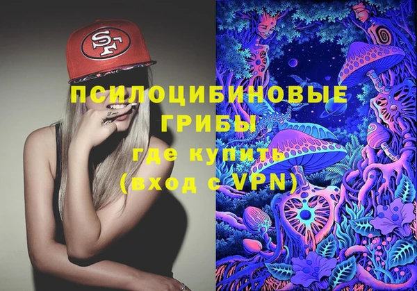 спайс Нягань