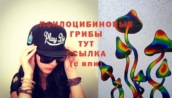 гашиш Няндома