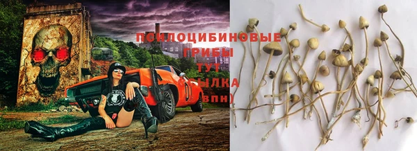 гашиш Няндома