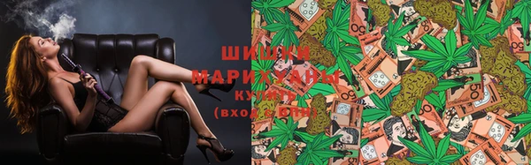 спайс Нягань