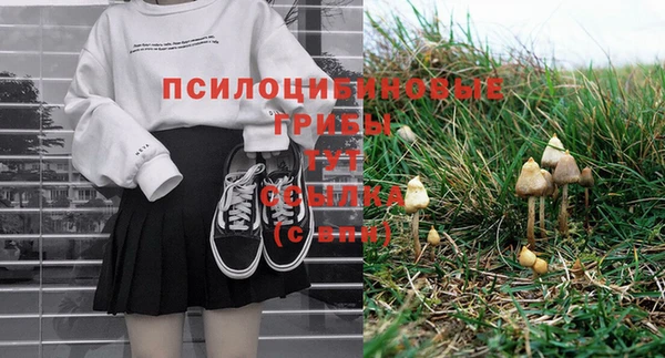 гашиш Няндома