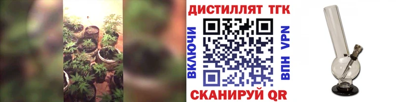 ТГК вейп с тгк Котлас