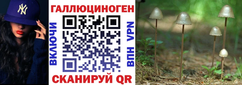 закладки  Котлас  Псилоцибиновые грибы Cubensis 