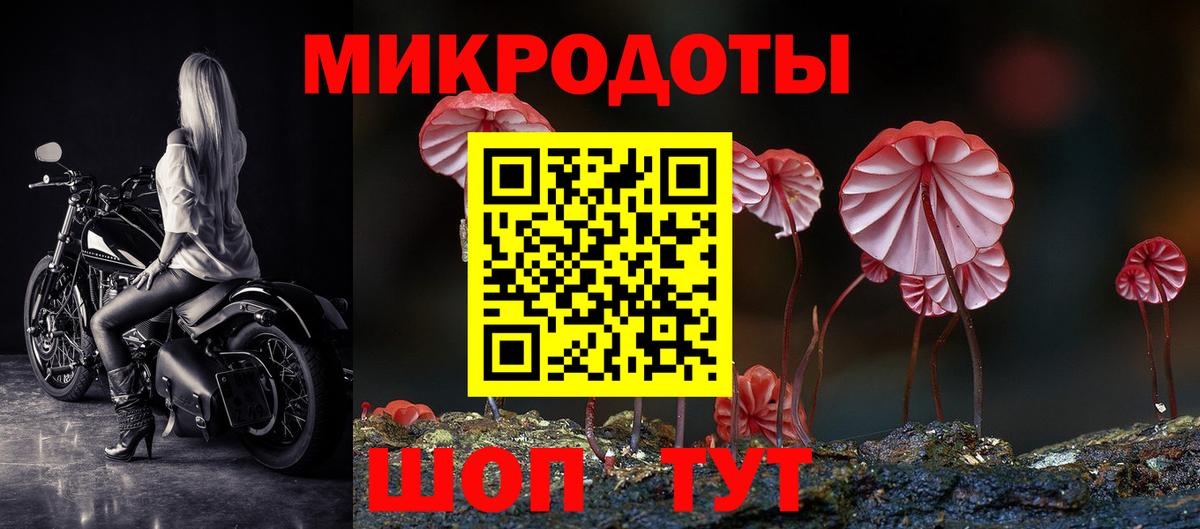 где найти   Котлас  Псилоцибиновые грибы Magic Shrooms  Псилоцибиновые грибы Psilocybe 