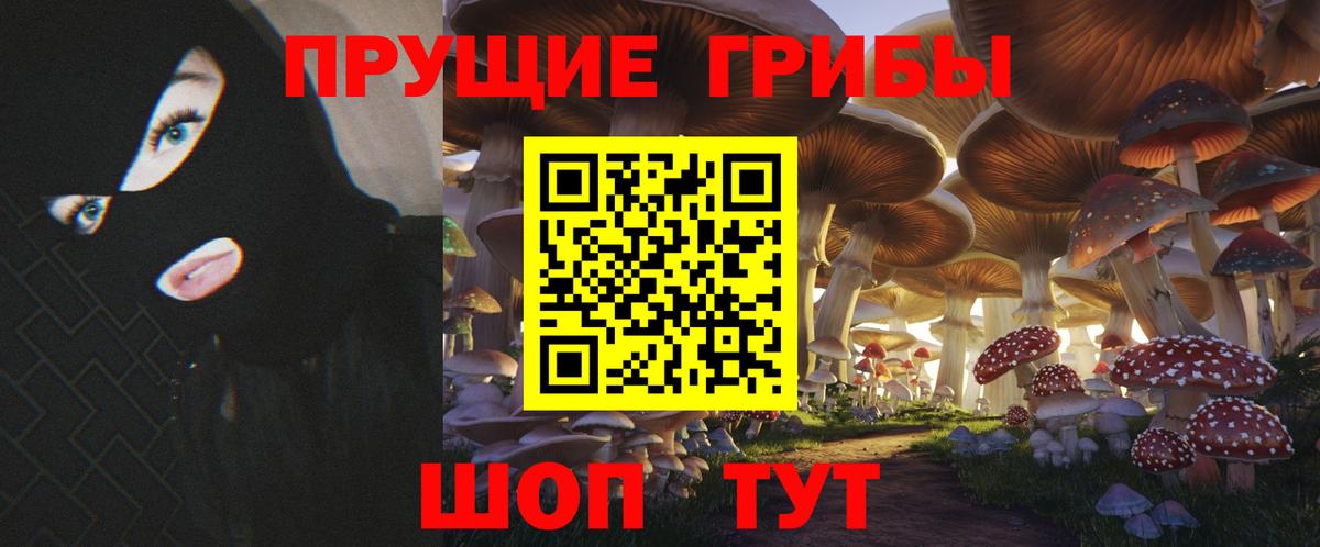 Псилоцибиновые грибы Cubensis  Вход с VPN  Котлас  Галлюциногенные грибы прущие грибы 