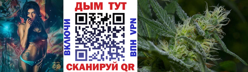 Канабис планчик  где купить   omg вход  Котлас 